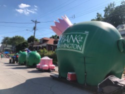 Bank of Washington little pigs and big pig participating in Washington Town & Country Fair parade 2019