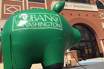 Big, inflatable pig in Bank of Washington parking lot