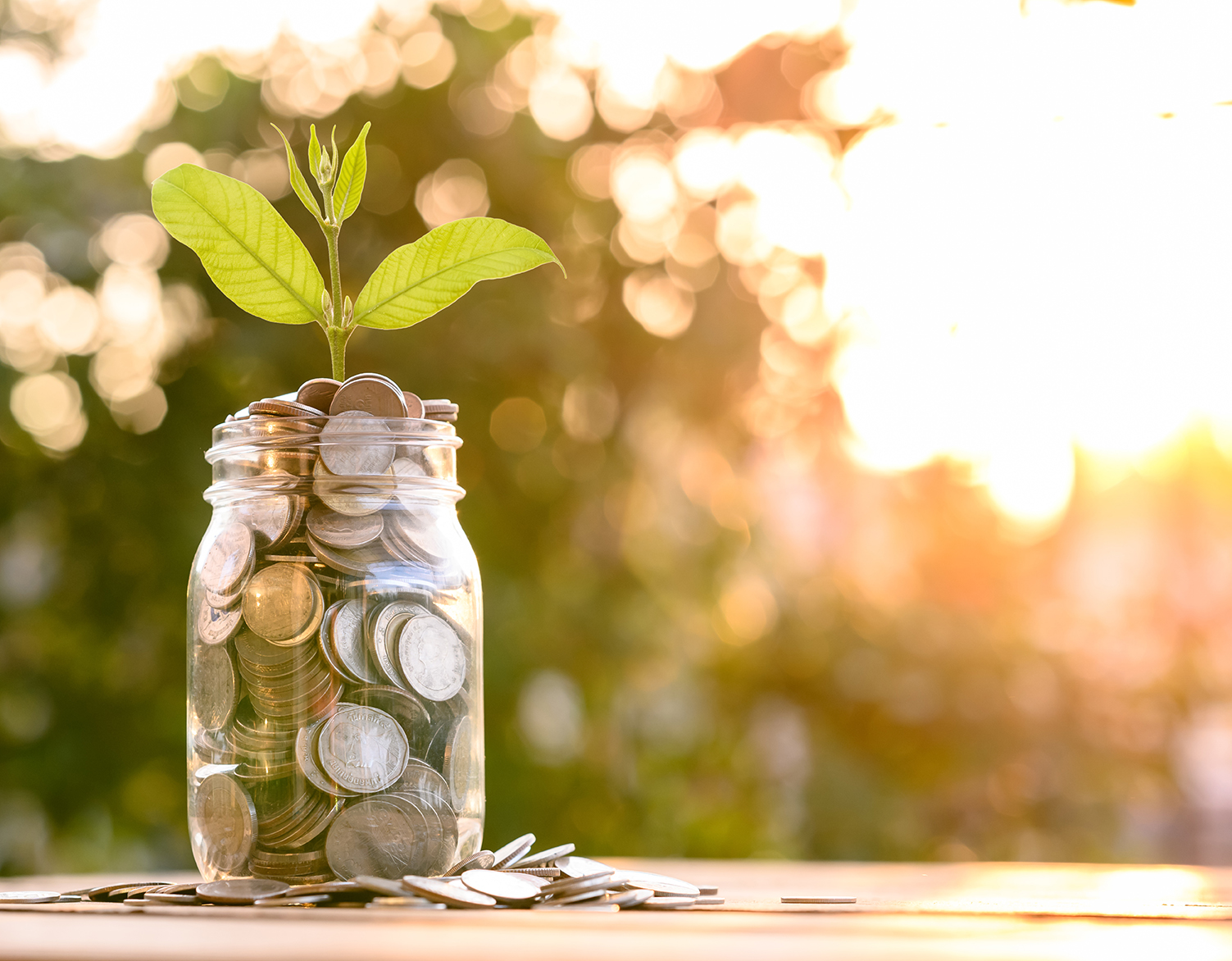 Coins in jar with a plant growing out of jar and sun in the background