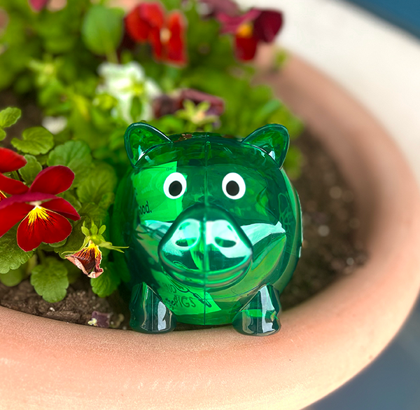 green piggy bank hidden in a flower pot