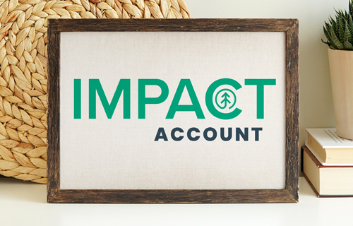 wooden framed sign with Bank of Washingtons Impact Account written in green and navy color with pair of books and a plant on the right side of frame